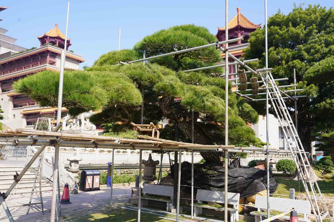 球速体育网站:广西的“小布达拉宫”内藏铜佛尽显东方建筑艺术的魅力(图4)