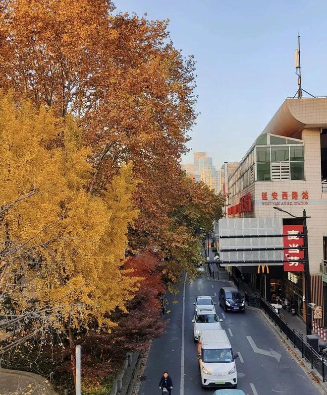 球速体育网站：【乐游】这些地方可以赏景+游园+看展公共交通直
