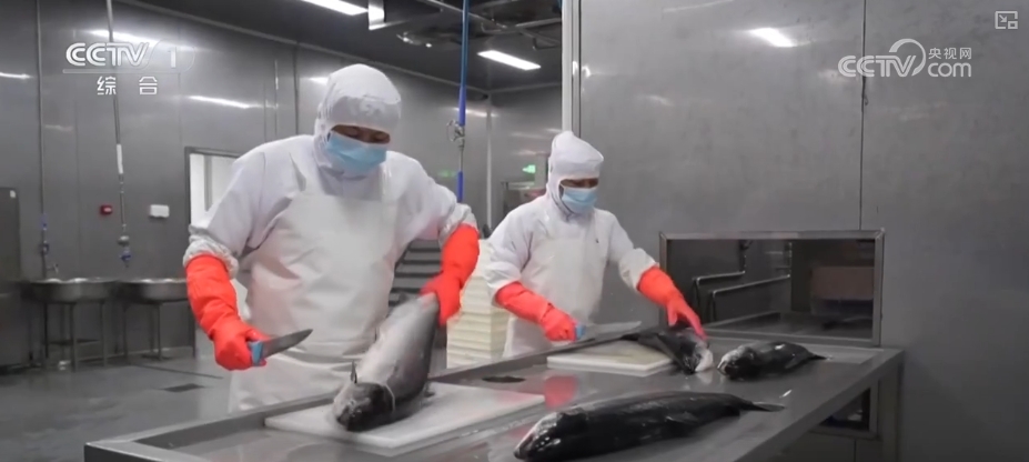 产业“忙”消费“热”百姓“乐”享新场景点燃消费“热引擎”(图16)