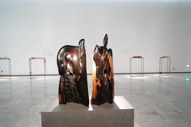 “超验之域——爻-钟蔚帆”展览亮相广州艺术博物院以艺术实践回应当代文化命题(图2)