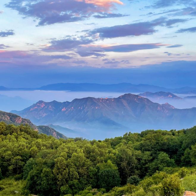 实景美图抢先看!端午节北京活动汇总来了(图42)