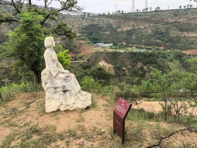 球速体育网站:石节子的艺术与生活丨万家星光(图1)