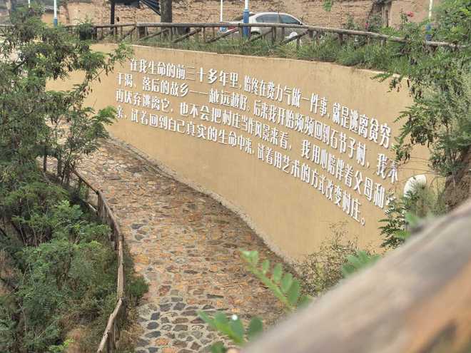 球速体育网站:石节子的艺术与生活丨万家星光(图2)