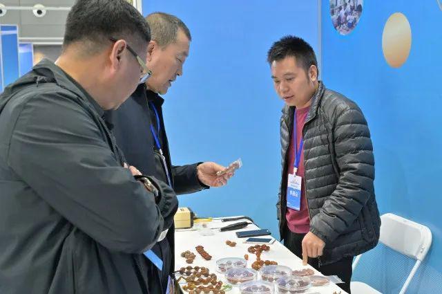 梁可钧丨罗定橄榄核雕师(图5)