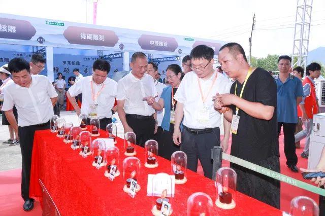 梁可钧丨罗定橄榄核雕师(图2)