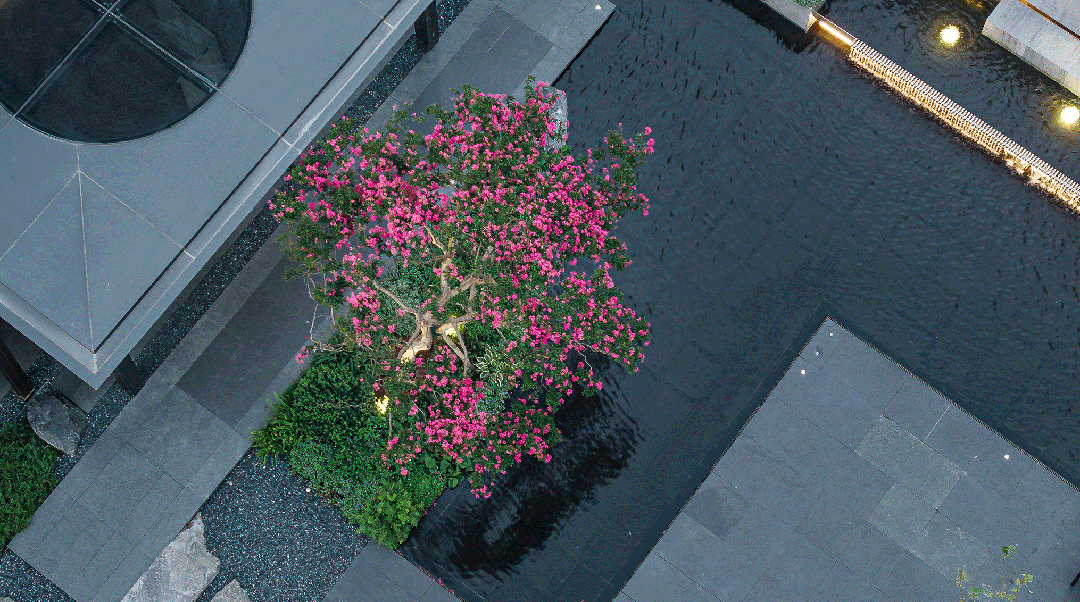 保利海上臻悦┃保利海上臻悦售楼处发布:艺韵满庭赋生活(图10)