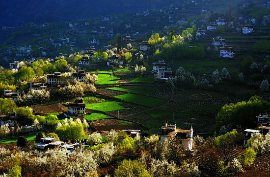 球速体育：四川这座千年村落何以吸引全球目光？