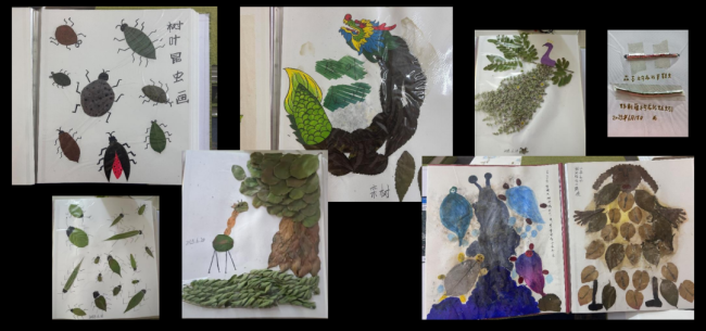 球速体育Welcome:焦兴涛命名与再命名的生态艺术(图2)