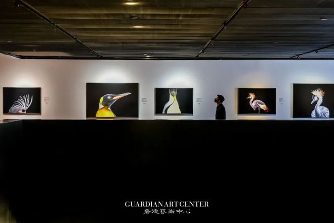 女性藏家重塑艺术品市场、蔡国强在蓬皮杜放烟火｜艺术栗子