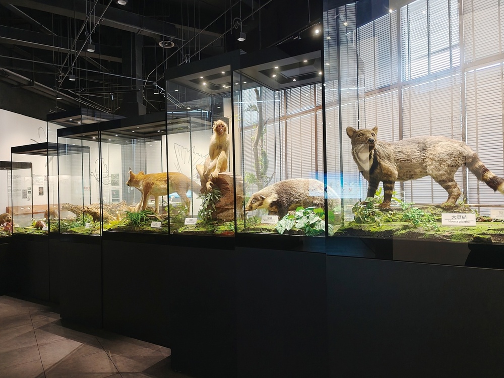 2025和合文化论坛开幕在台州看见和合之美(图13)