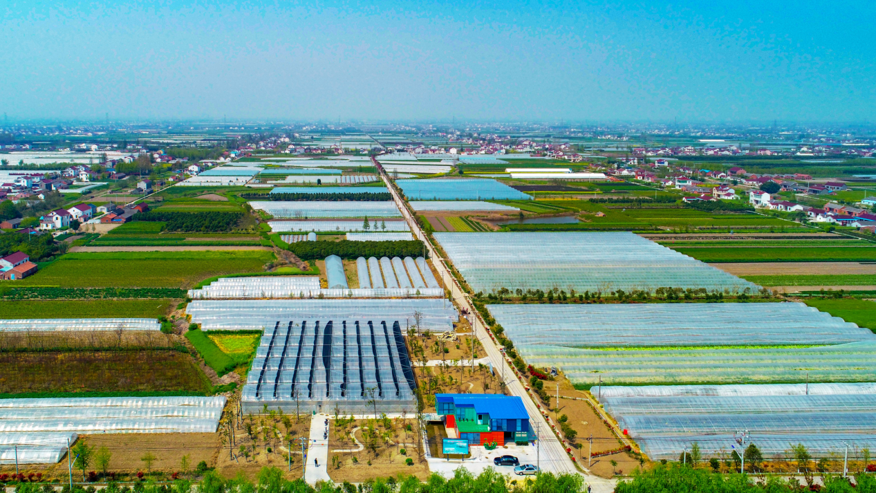 江苏东台：三产融合文艺赋美乡村全面振兴