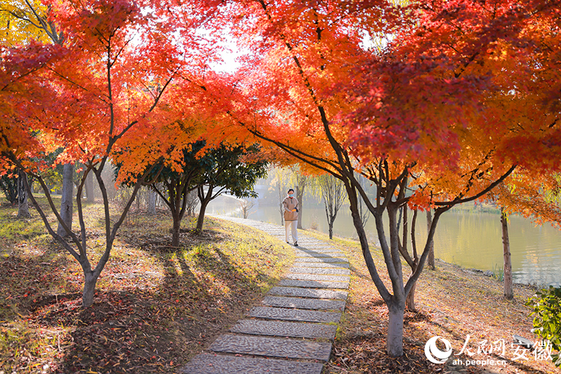 阜陽上揚③丨一馬平川地何以火出圈(图2)