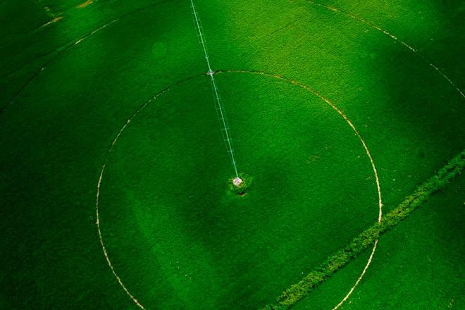 产业赋能呼和浩特高质量发展出圈出彩出色→(图4)