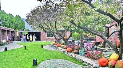 球速体育Welcome：走去逛逛村里的美术馆