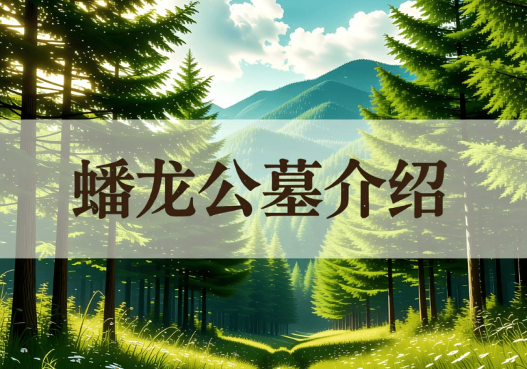 成都【蟠龙公墓】墓地详情【蟠龙公墓】2026年价格参考_购墓