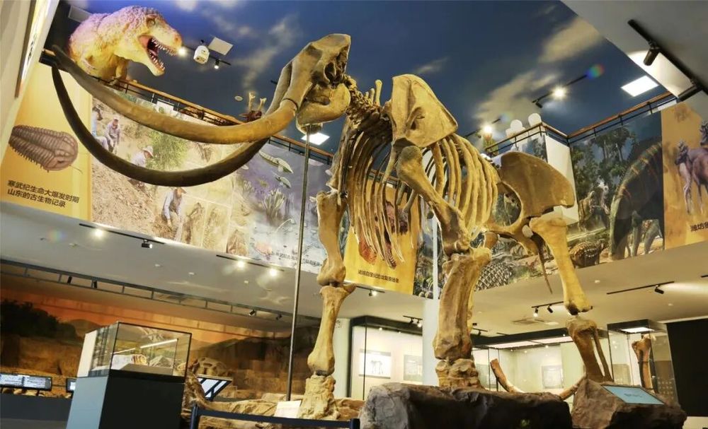 球速体育网站：龙象之城山海潍坊！32字带您认识潍坊