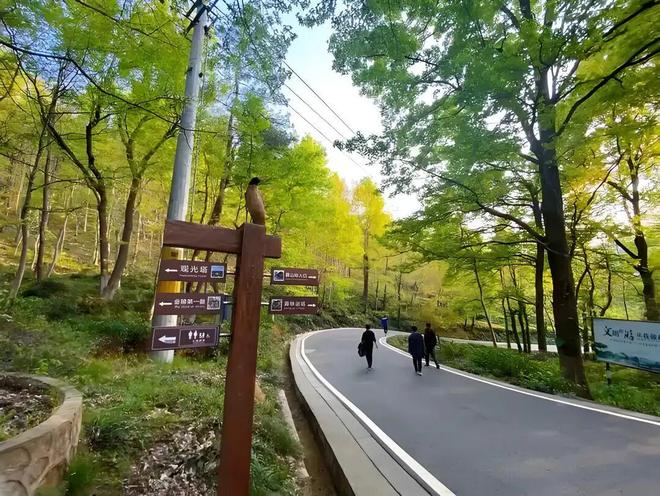 跑完这8条路线月石景山永定河半马轻松备战(图11)