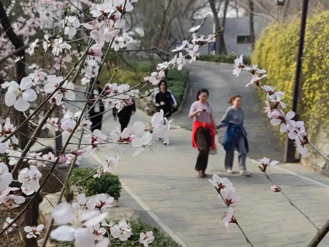 跑完这8条路线月石景山永定河半马轻松备战(图13)