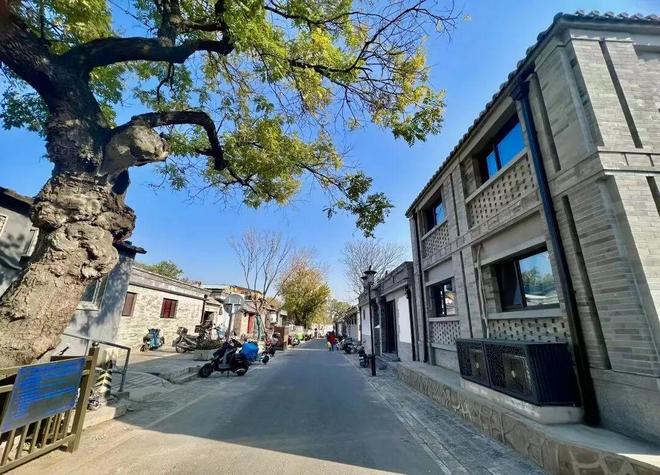 跑完这8条路线月石景山永定河半马轻松备战(图17)